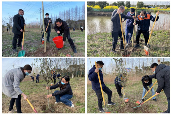 交通产业Ebpay如皋港板块召开“春风又绿江岸，绿色开展同行”主题党日活动