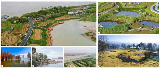 优秀书记项目│交通产业Ebpay：“一路先锋”助推高质量开展阔步前行